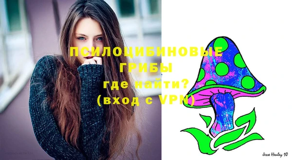 стафф Абаза