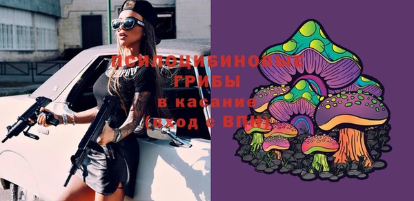 гашик Абдулино
