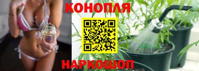 jwh Ставрополь