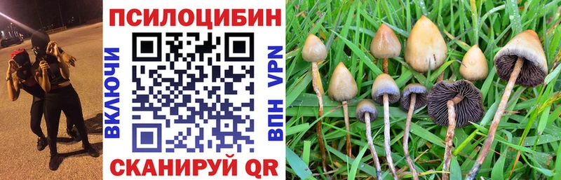 Галлюциногенные грибы мухоморы  MEGA ССЫЛКА  Смоленск  где купить наркотик 