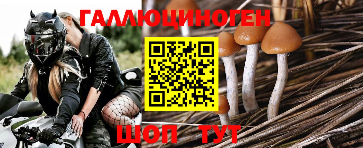 Галлюциногенные грибы прущие грибы  Вход с VPN  Смоленск  Галлюциногенные грибы GOLDEN TEACHER 