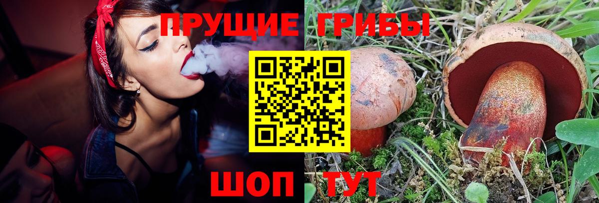 Псилоцибиновые грибы Cubensis Смоленск